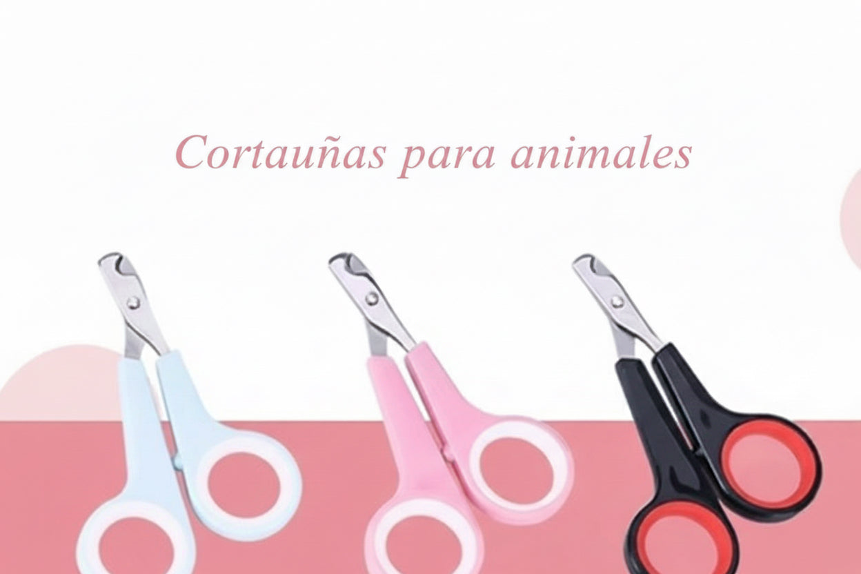 Pet Nail Clippers Cat Nail Clippers Cat Stainless Steel Nail Clippers Pet Cleaning Supplies