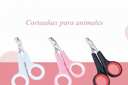 Pet Nail Clippers Cat Nail Clippers Cat Stainless Steel Nail Clippers Pet Cleaning Supplies